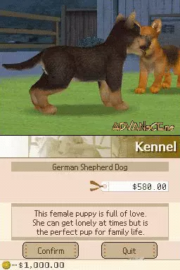 Image n° 3 - screenshots : Nintendogs - Best Friends